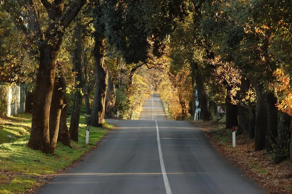 Vakantieboerderij Agriturismo Quattro Pini Castagneto Carducci