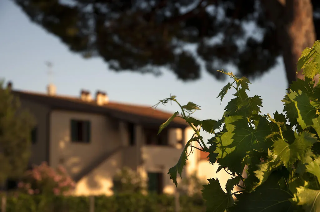 Agriturismo Quattro Pini Castagneto Carducci
