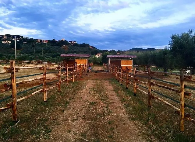 Agriturismo Quattro Pini Castagneto Carducci 0*,