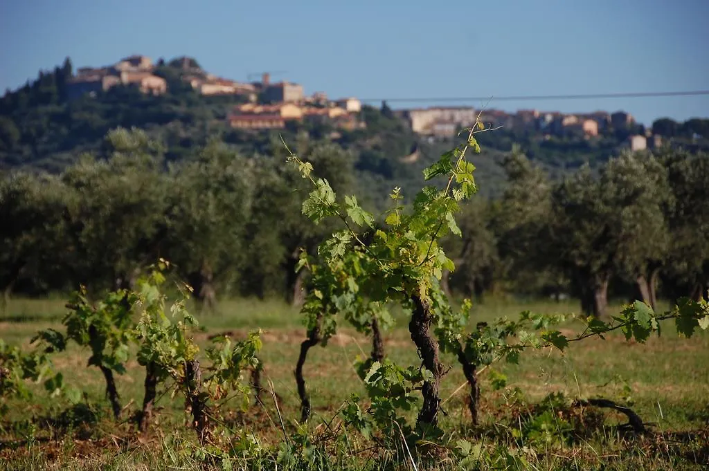 Agriturismo Quattro Pini Castagneto Carducci 0*,