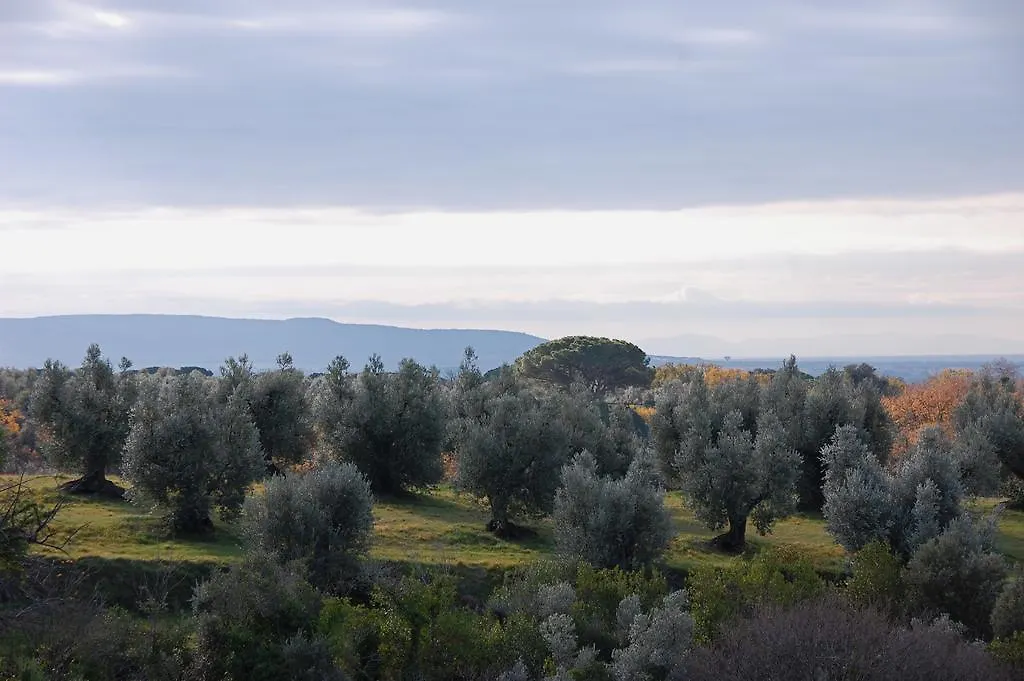 Agriturismo Quattro Pini Castagneto Carducci 0*,  Italien